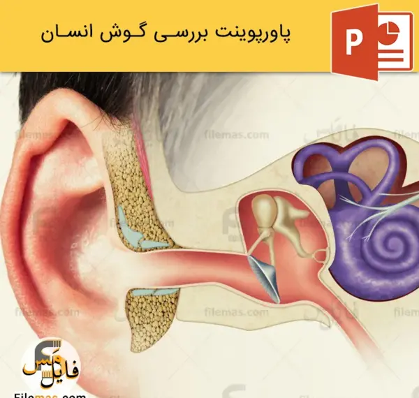 عکس ساختمان گوش علوم پنجم دبستان