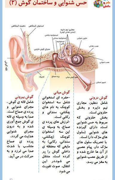 عکس ساختمان گوش علوم پنجم دبستان