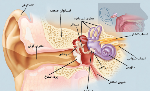عکس ساختمان گوش علوم پنجم دبستان