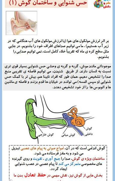 عکس ساختمان گوش علوم پنجم دبستان