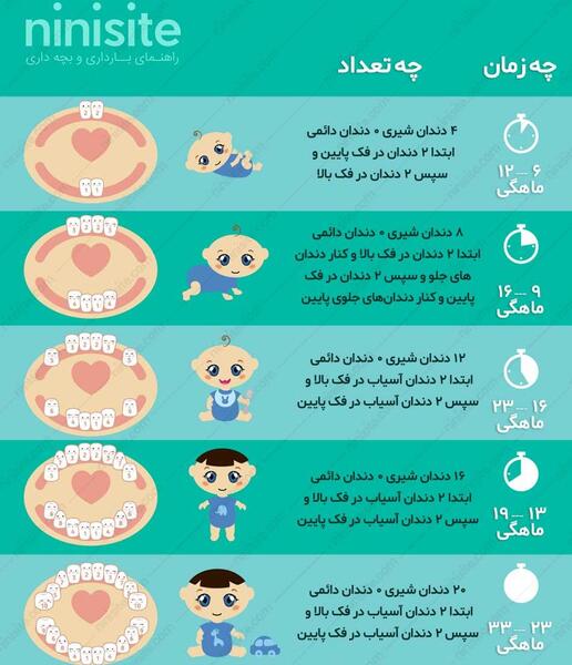 عکس مراحل دندان دراوردن نوزاد نی نی سایت