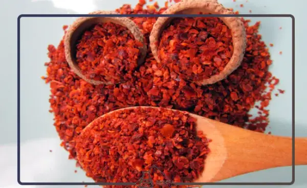 عکس پول بیبر