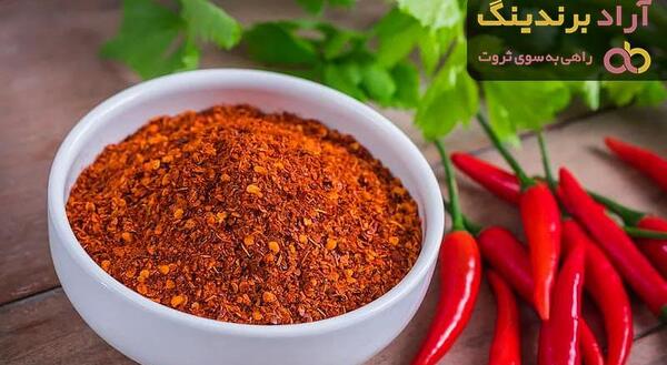 عکس پول بیبر