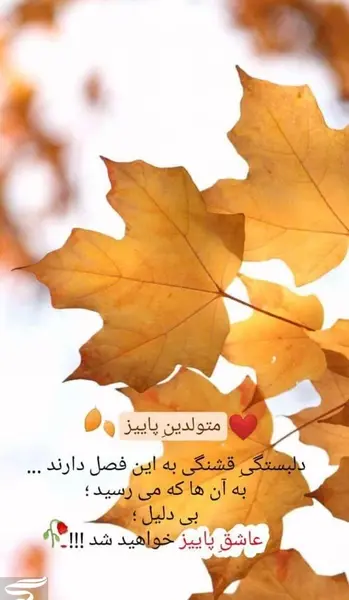 عکس استوری تولد پاییز