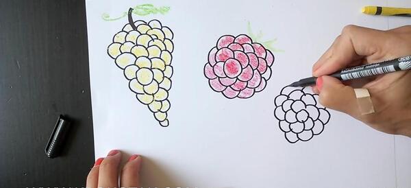 عکس نقاشی ساده توت سفید