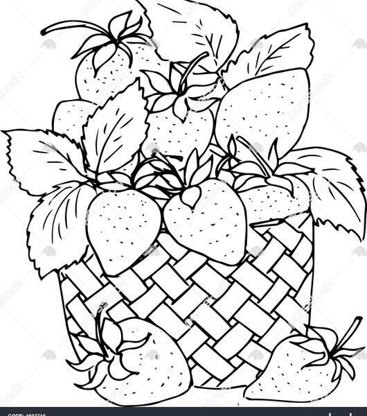 عکس نقاشی ساده سبد