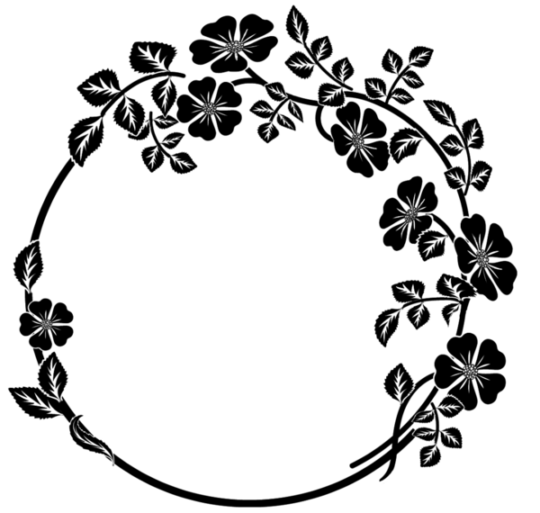 عکس سفید حاشیه دار
