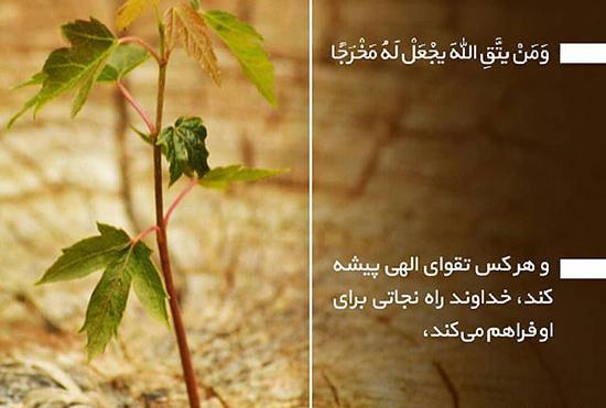 عکس نوشته های اخلاقی عرفانی