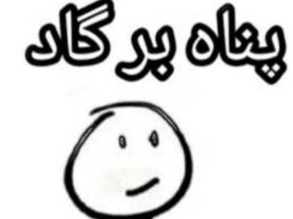 فرستادن عکس نود نی نی سایت
