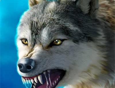 عکس گرگ با نوشته لاتی