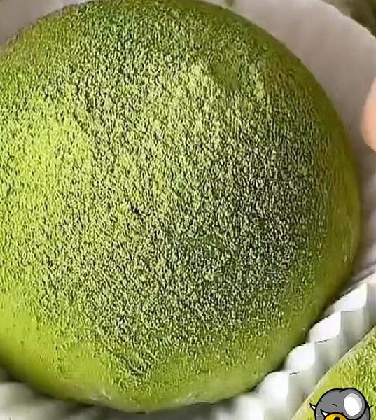 عکس موچی بنفش