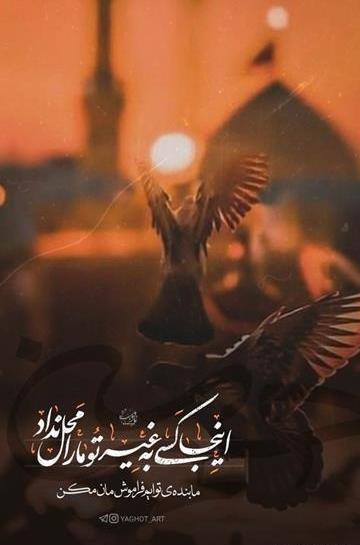 عکس بدون متن از کربلا