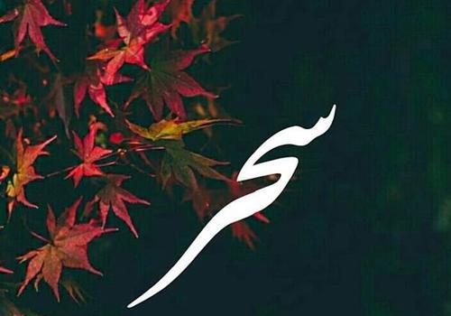 عکس نوشته اسم سحر جدید