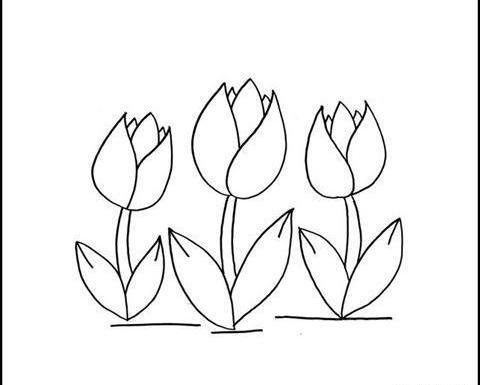 عکس نقاشی گل لاله ساده