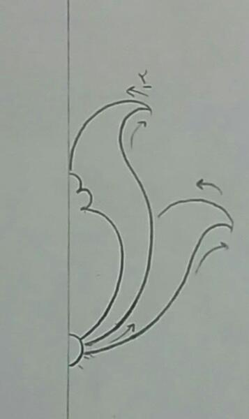 عکس نقاشی گل لاله ساده