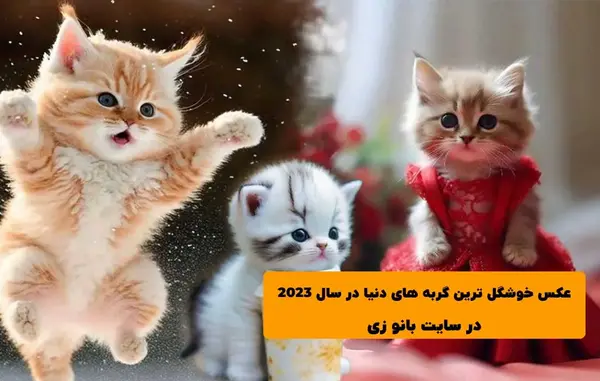 عکس های بچه گربه فانتزی