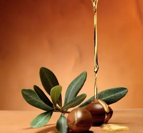 عکس جوجوبا