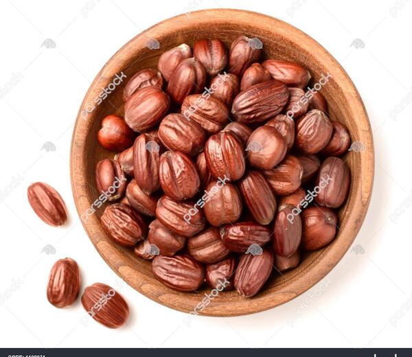 عکس جوجوبا