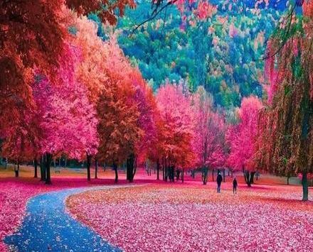 عکس طبیعت رویایی جدید