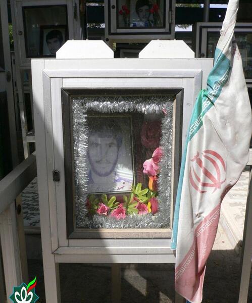 عکس محمد قلی ها