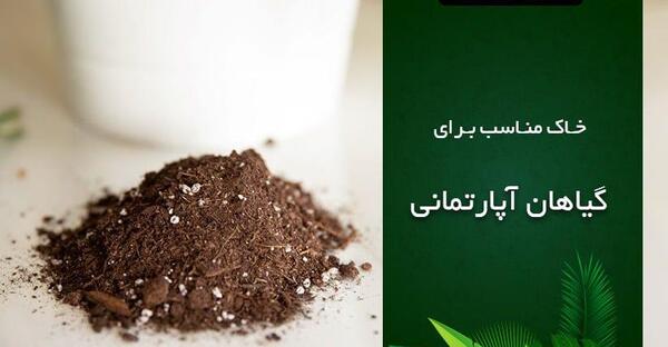 عکس خاک گلدان