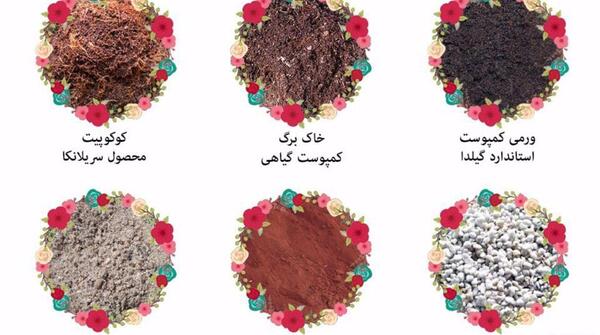 عکس خاک گلدان