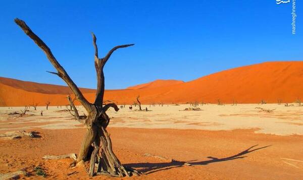 عکس زمین شناسان