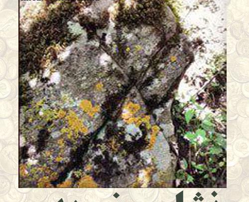 عکس لوگوی ضربدر