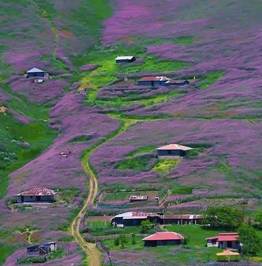 عکس جاده خلخال به اردبیل
