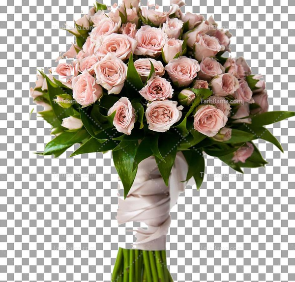 عکس دسته صورتی