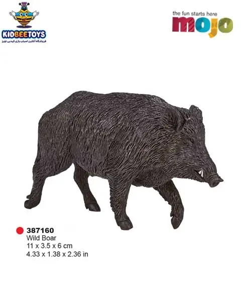 عکس از گراز ایرانی