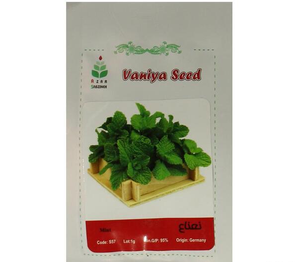 عکس انواع نعناع