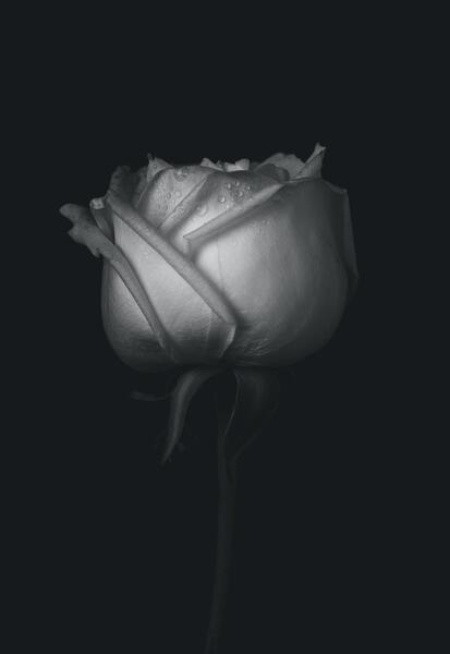 عکس مشکی سیاه و سفید