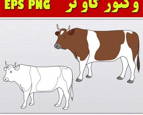 عکس گاو نر
