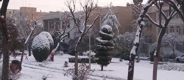 عکس برف زمستانی