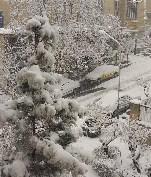 عکس برف زمستانی