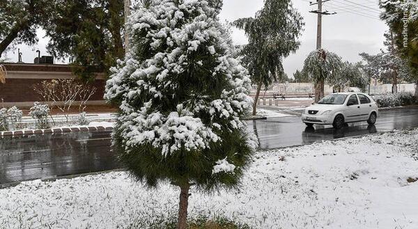 عکس برف زمستانی