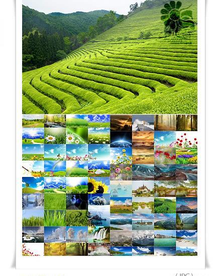 عکس طبیعت زیبای سبز