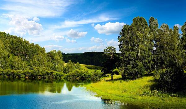 عکس طبیعت زیبای سبز