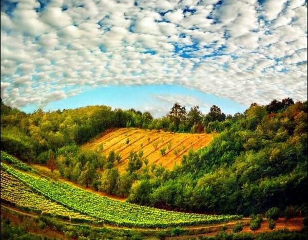 عکس طبیعت زیبای سبز
