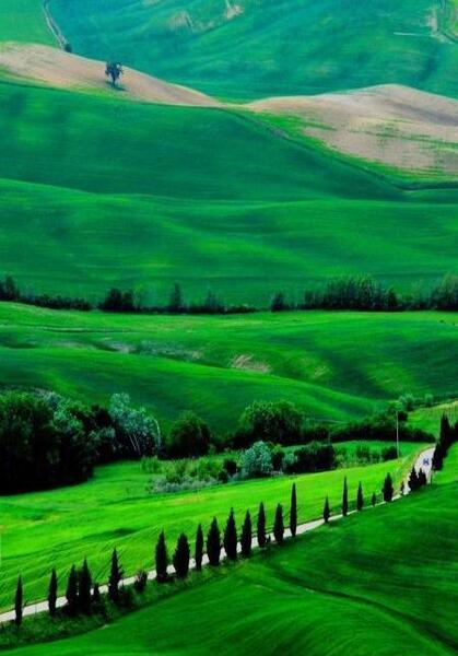 عکس طبیعت زیبای سبز
