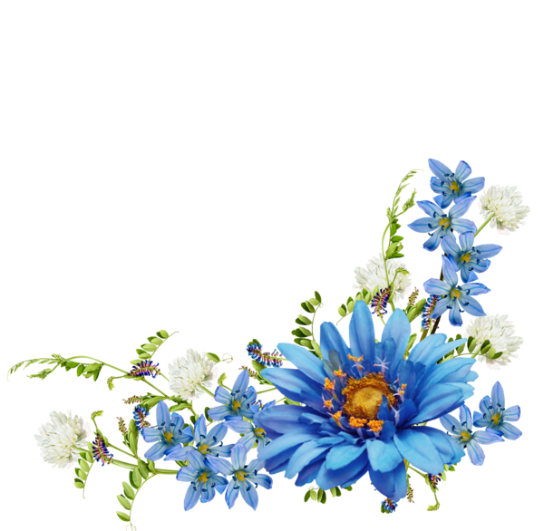عکس نقاشی گل حاشیه