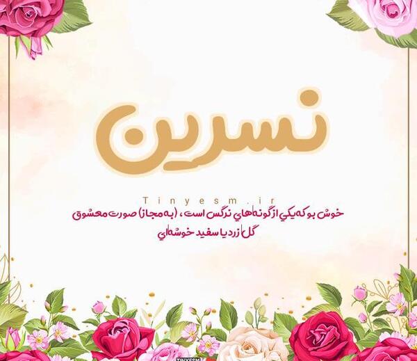 عکس نوشته علی و نسرین