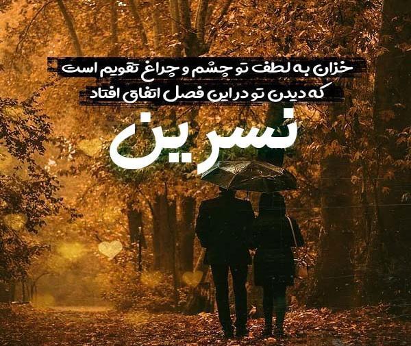 عکس نوشته علی و نسرین
