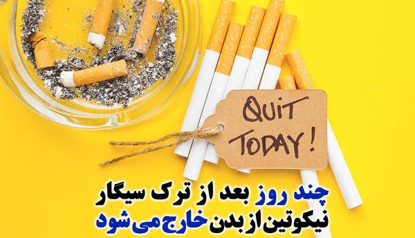 عکس سیگار توت فرنگی
