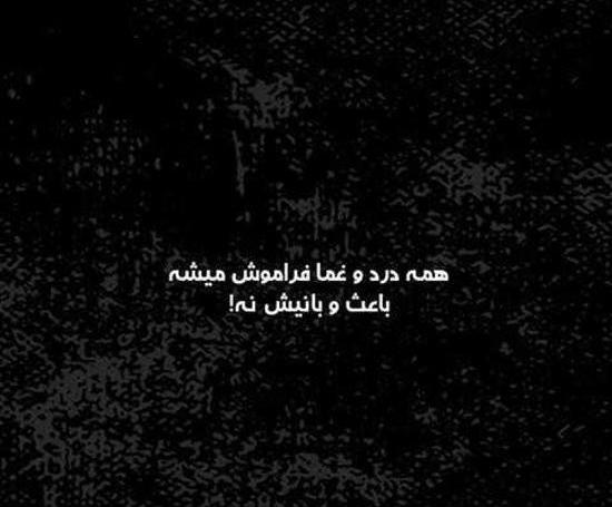 عکس پروف مشکی گریه