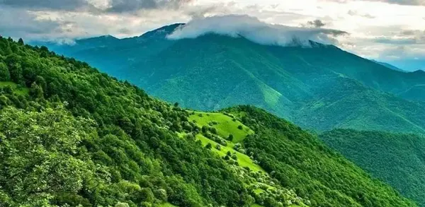 عکس آویشن تبریز استان آذربایجان شرقی