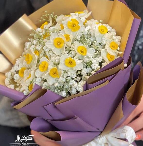 گالری عکس گل نرگس
