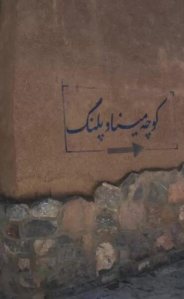 عکس واقعی مینا و پلنگ
