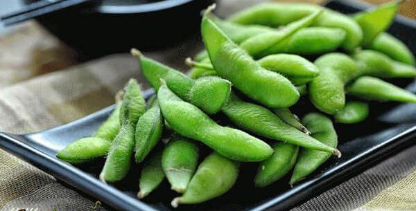 عکس سویای تراریخته
